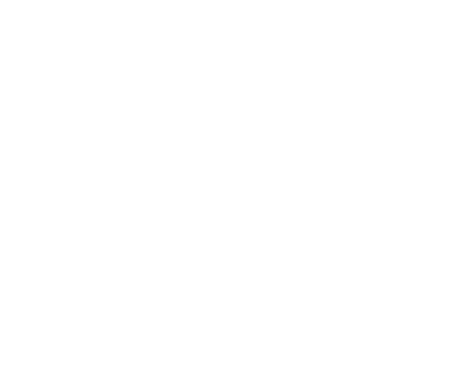 Voldan Investments Ltd.